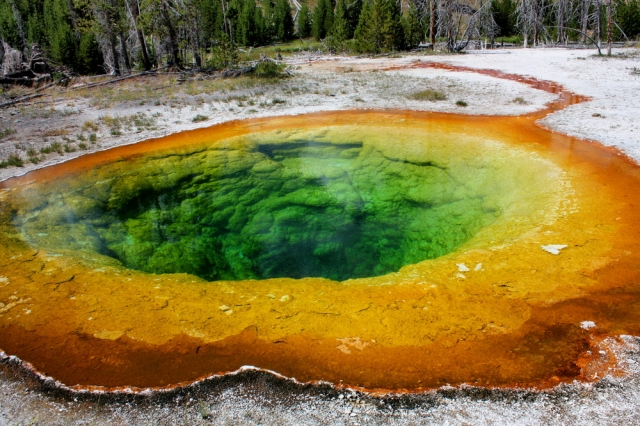 Green sulfur bacteria, whose exceptional light-harvesting capabilities inspired the artificial system analyzed by postdoc Dörthe Eisele and her co-workers, dominate this hot spring at Yellowstone National Park and give it its striking green color.