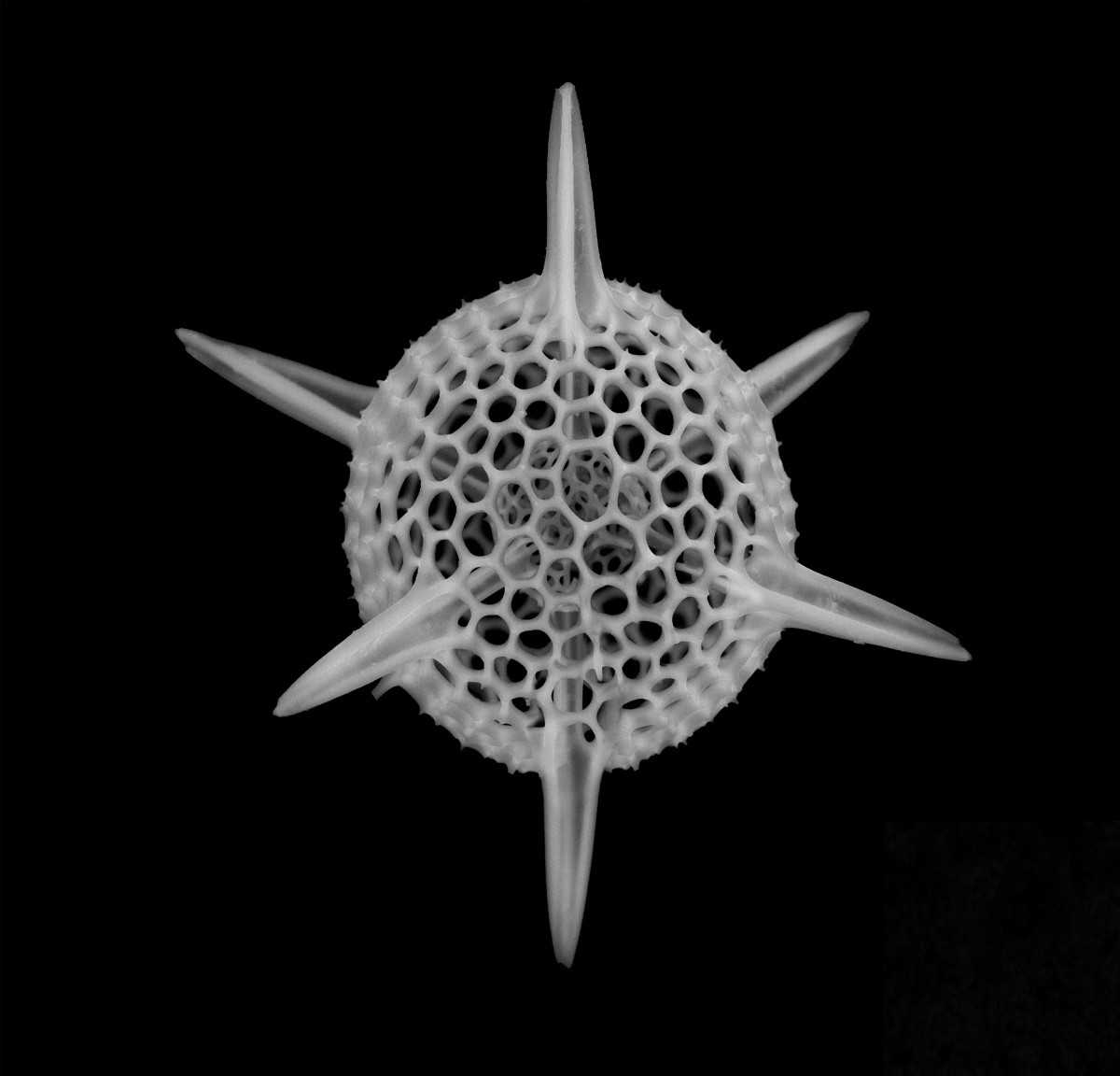 Microscopic image of a hollow sphere with six radiating points.