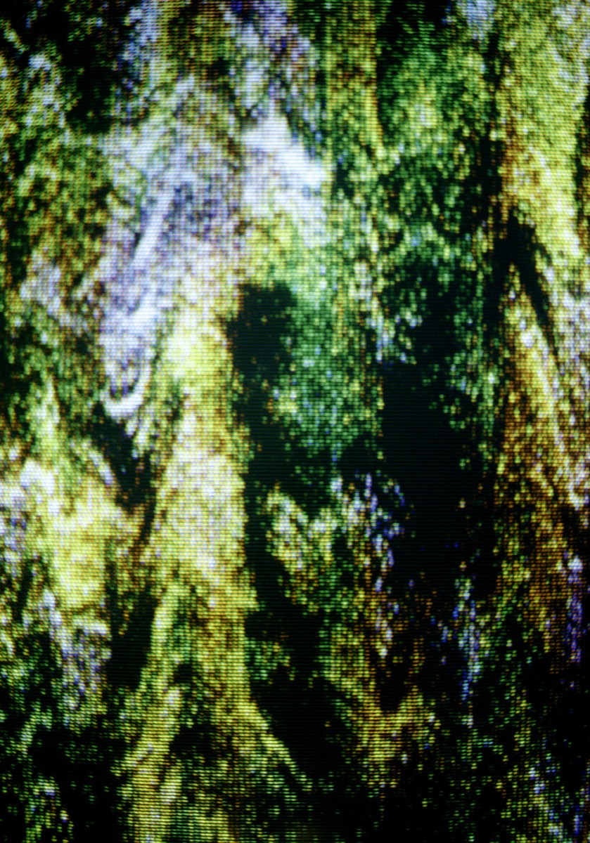 Pixellated image of greenery.