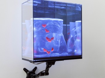 A holographic cube with an image of a blue torso and red hearts.