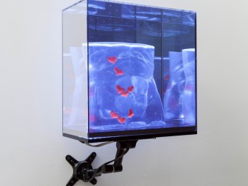 A display case depicts a luminescent blue image of a torso with red hearts floating around it.