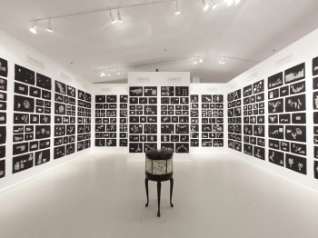 A gallery with walls covered in images of white objects on black backgrounds.