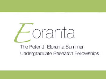 Image reading "The Peter J. Eloranta Summer Undergraduate Research Fellowships"
