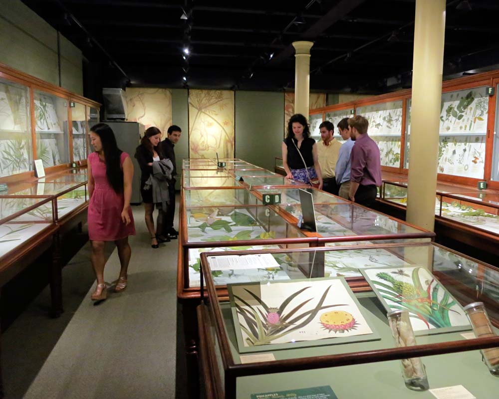 Grad Arts Forum at the Harvard Museum of Natural History. Credit: Sam Hunter Magee.
