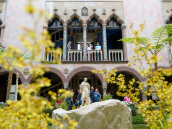 Yellow flowers with Italianate arches and a classical statue in the background.