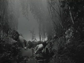 Black and white image of a jungle and two large hands.
