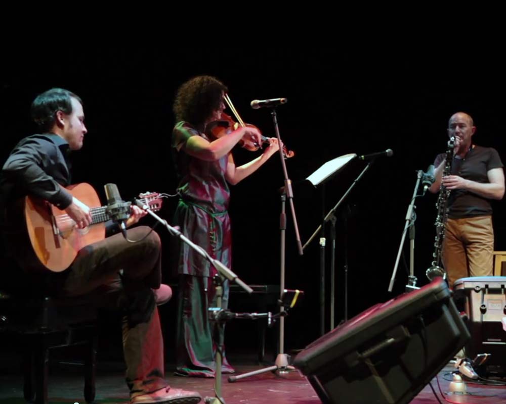 A guitarist, violinist, and bass clarinetist perform.
