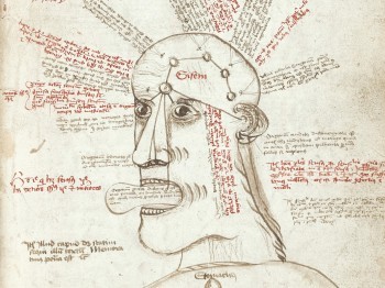 Hand-written text and a diagram of a human head from a historic document.