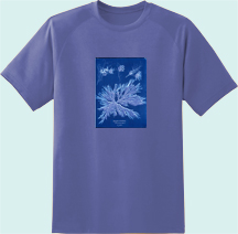 SAA, T-Shirts and Cyanotypes. Credit: Anna Atkins, Courtesy of the New York Public Library.