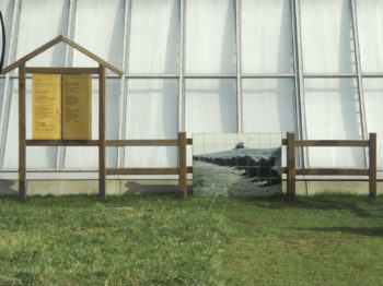 An outdoor installation of grass, photographs, and text.