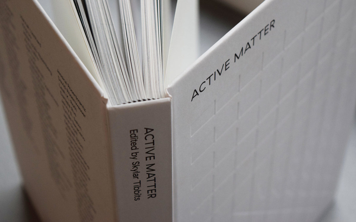 Active Matter, Published September 2017 by MIT Press.
