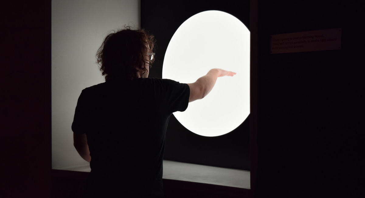 CAST Faculty Grant Recipient Pawan Sinha's Vision in Art & Neuroscience