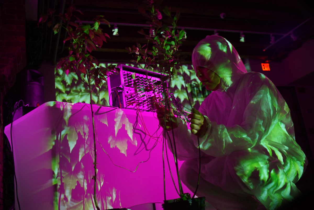 Lani Asuncion's The Human Garden, a performance at Spaceus, May 2018. Photo: Spaceus.