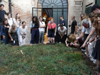 People observe a patch of greenery.