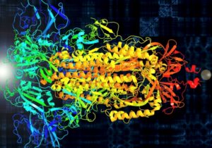 Primary colors represent the spike protein of the novel coronavirus’s three protein chains.