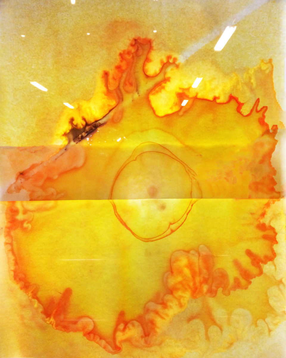Close up of a paper brushed with lactic acid that has turned yellow upon contact with blood.