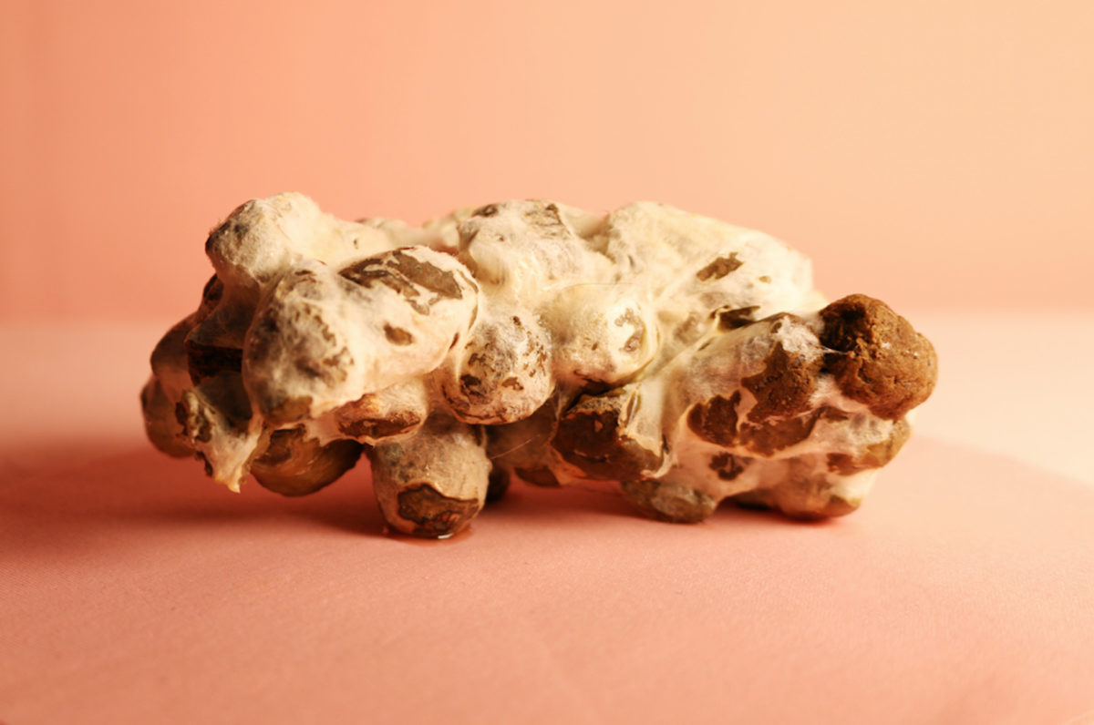 Close up of fecal matter sculpture sitting on pink background.