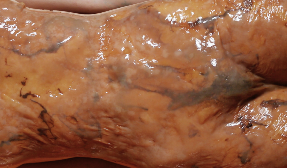 Close up of a torso wearing a slime and scoby suit.