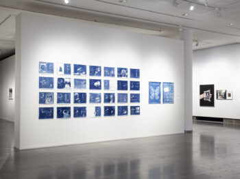 A gallery wall with a matrix of blue rectangular images.