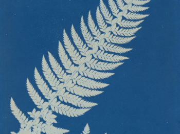 A leaf print on a blue background.