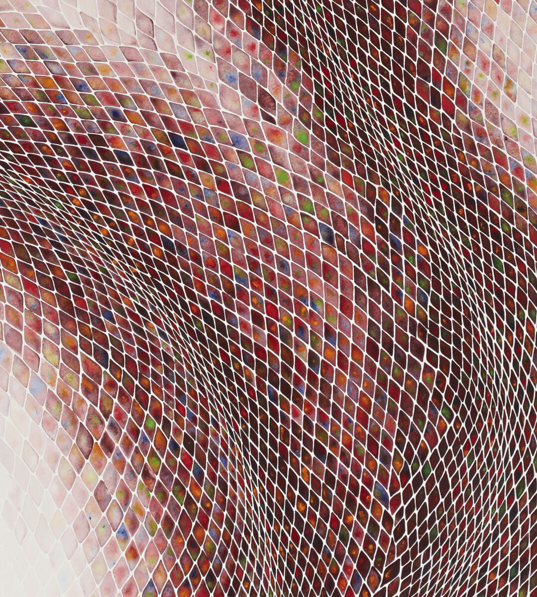 White grid in square pattern, distorted into diamond shapes as if on fabric. Cells are painted with warm jewel tones and white, grouped to suggest dimension of grid. Credit: Timothy Lee.