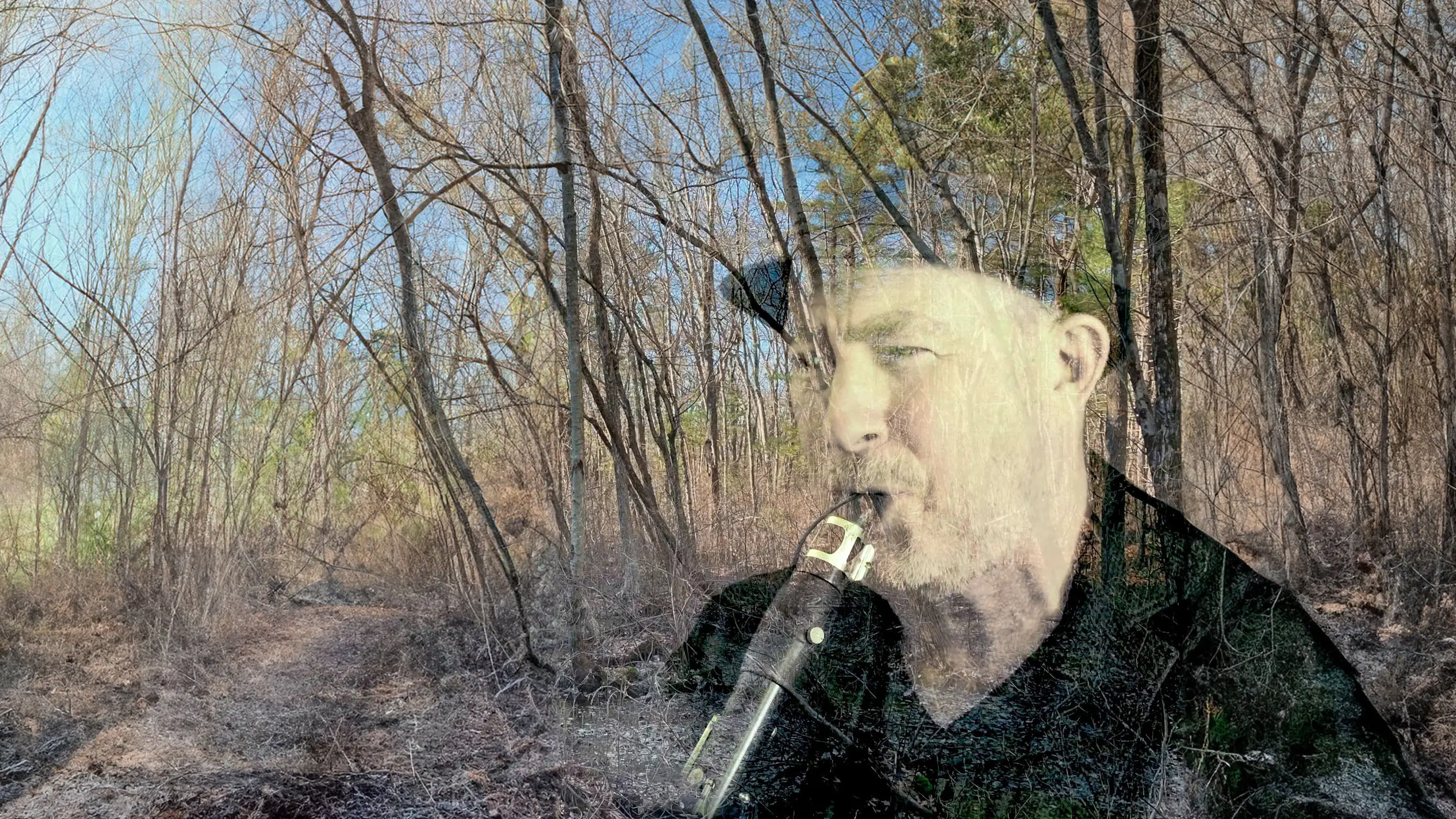 A headshot of Evan Ziporyn playing the clarinet is overlayed on an image of leafless forest.