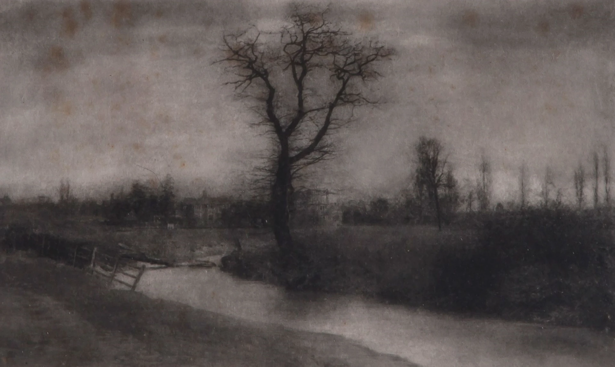 A fuzzy black and white photograph of a flat landscape with a large tree in the center of the image