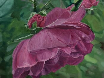An oil painting of a deep pink rose. The background is lush green. A fully bloomed rose leans heavily downward. In the upper left corner of the painting there are four new buds.