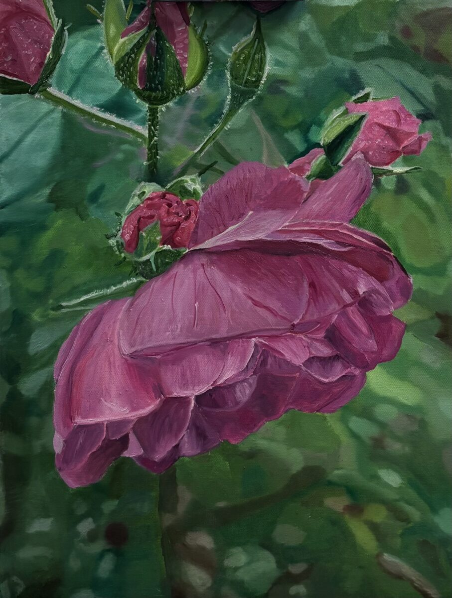 An oil painting of a deep pink rose. The background is lush green. A fully bloomed rose leans heavily downward. In the upper left corner of the painting there are four new buds.