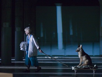 A woman performs with a dog.